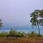 Napvirag - Koezel Mindenhez Balatonakarattya