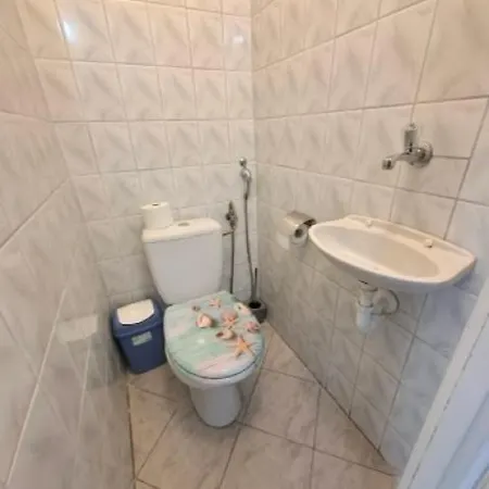 Napvirag - Koezel Mindenhez *