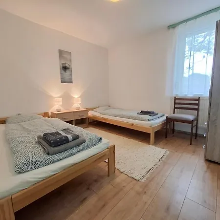 Napvirag - Koezel Mindenhez