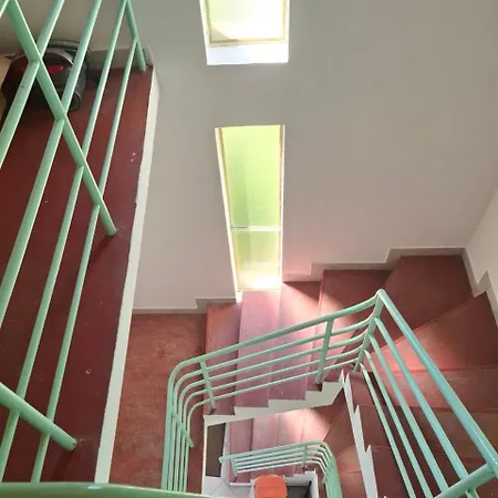 Napvirag - Koezel Mindenhez バラトンアカラッチャ