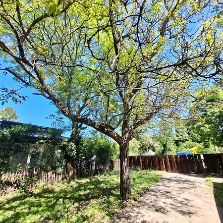 Napvirag - Koezel Mindenhez アパート *