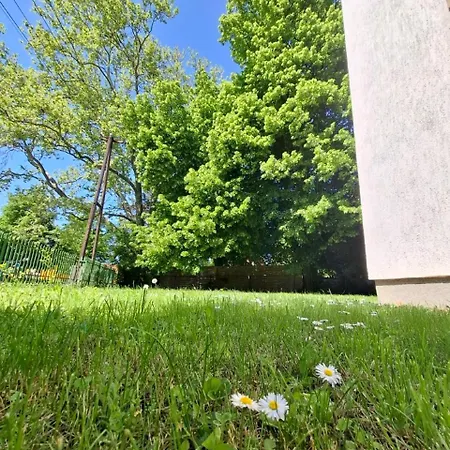 Napvirag - Koezel Mindenhez Apartment Balatonakarattya